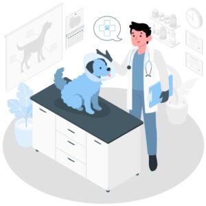 Veterinarian email list in the USA