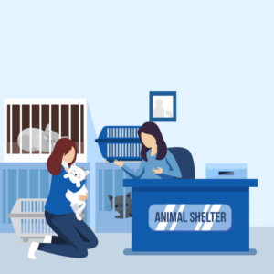 Animal Shelters Email List