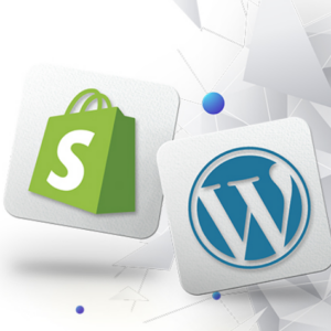 Shopify and WordPress Stores Email List